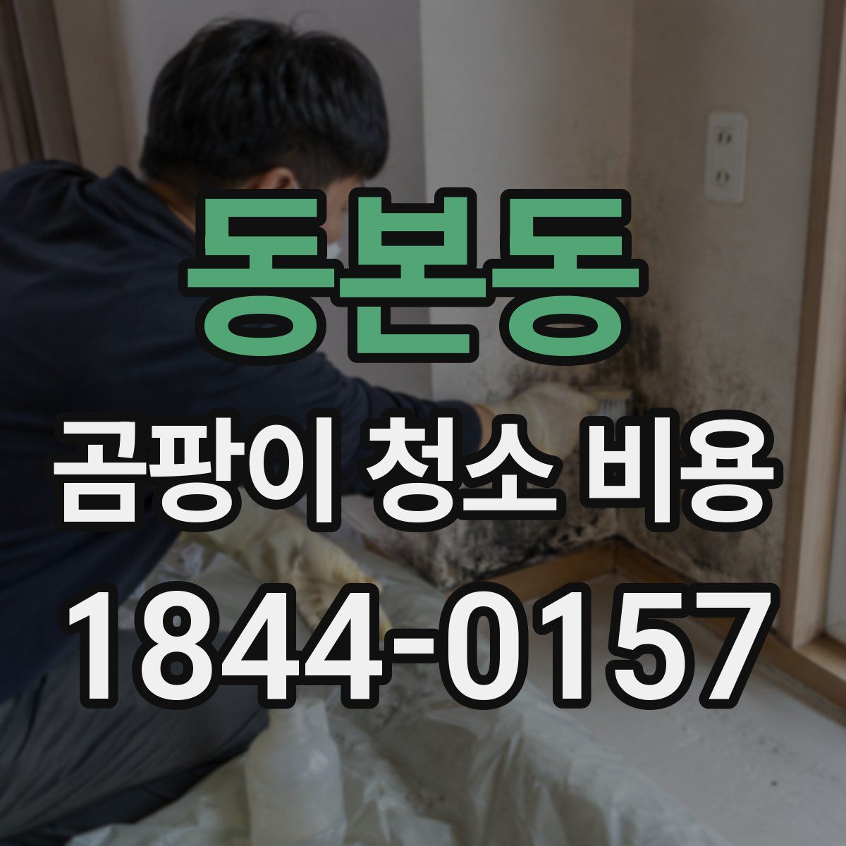 동본동 곰팡이 청소 비용