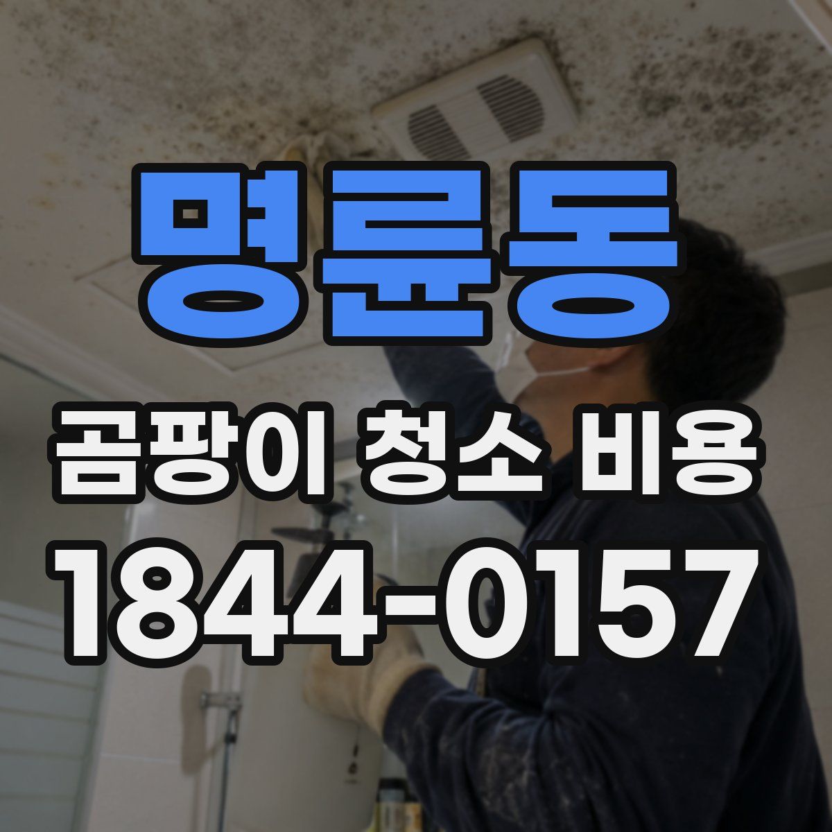 명륜동 곰팡이 청소 비용