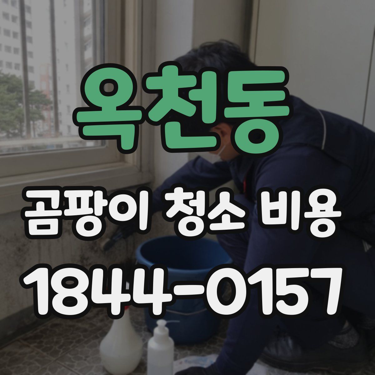 옥천동 곰팡이 청소 비용