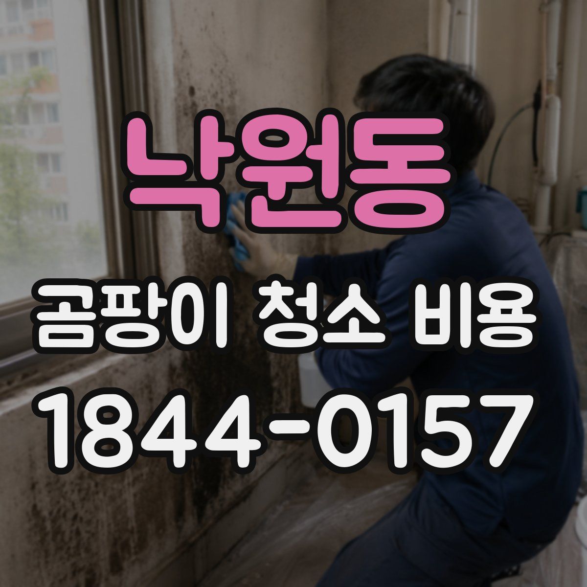 낙원동 곰팡이 청소 비용