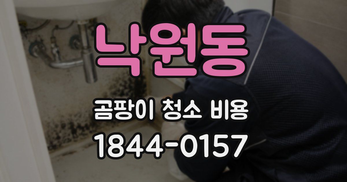 낙원동 곰팡이 청소 비용