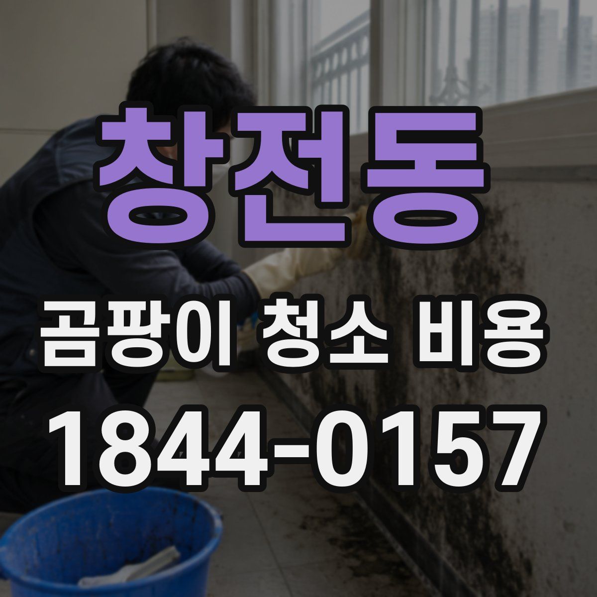창전동 곰팡이 청소 비용
