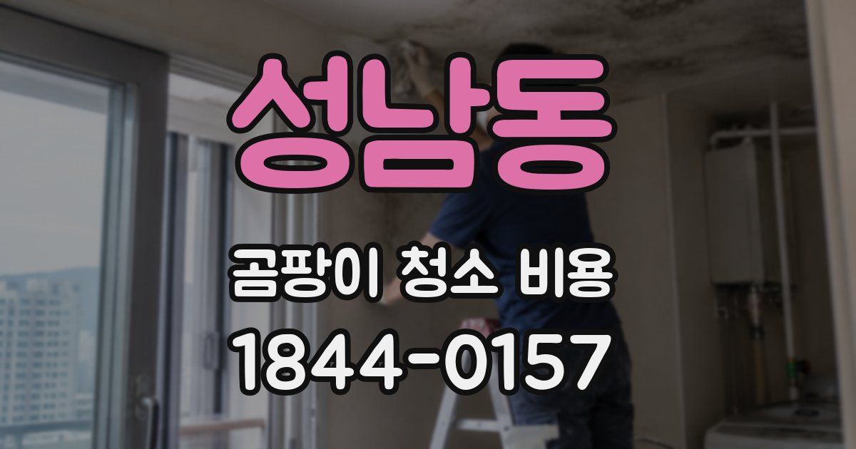 성남동 곰팡이 청소 비용