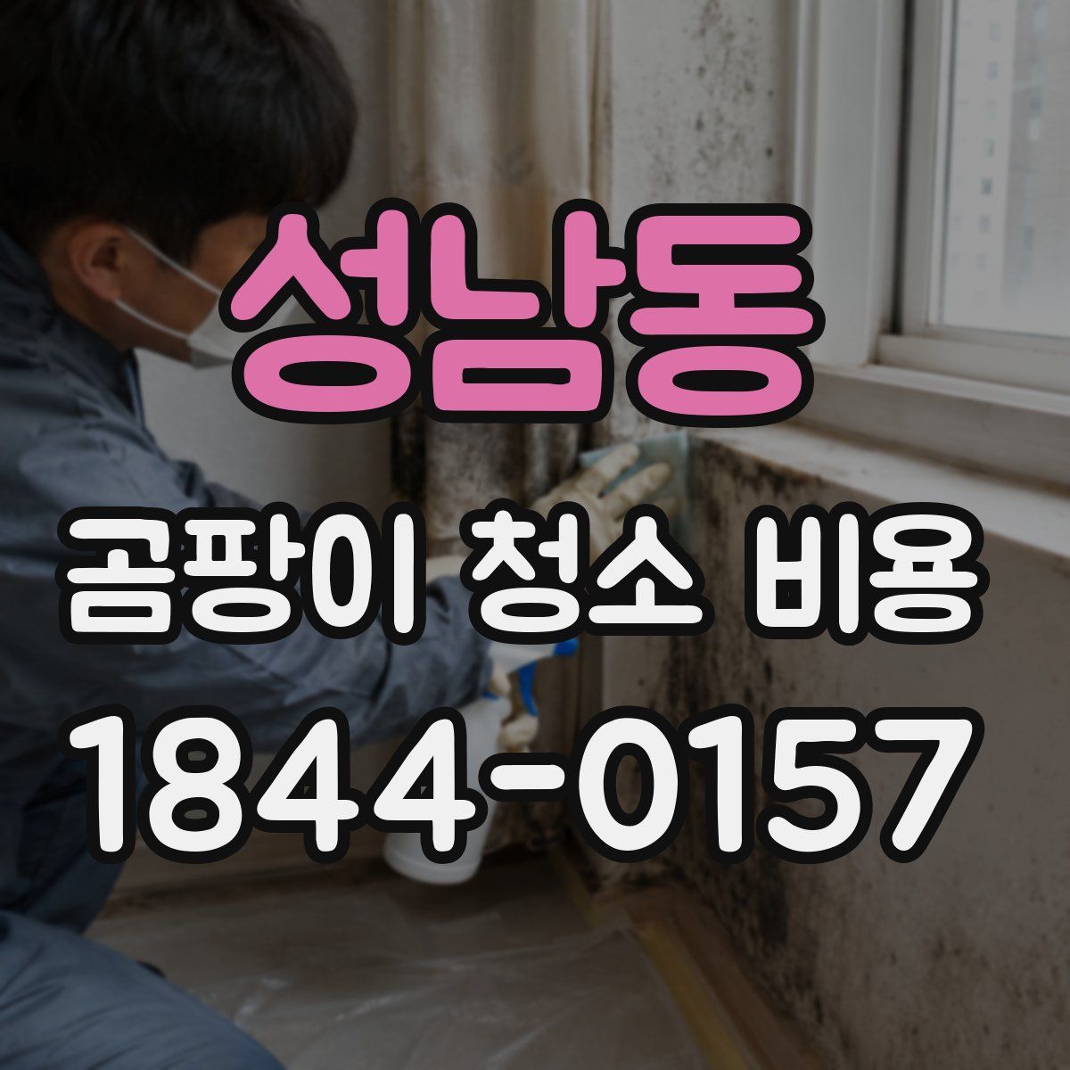 성남동 곰팡이 청소 비용