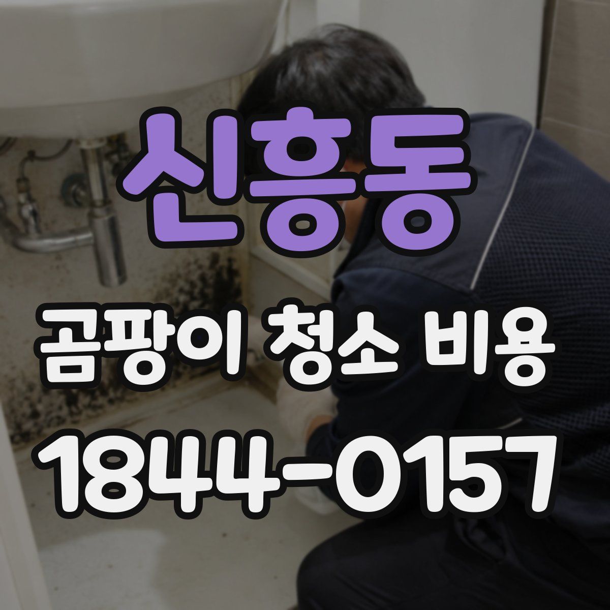 신흥동 곰팡이 청소 비용
