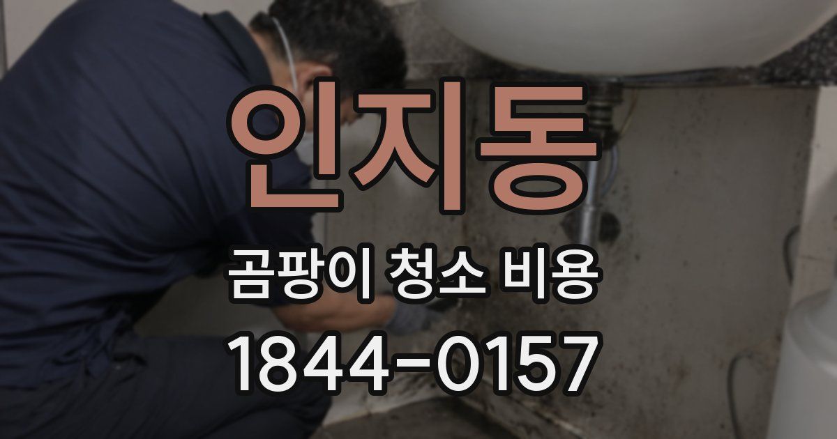 인지동 곰팡이 청소 비용
