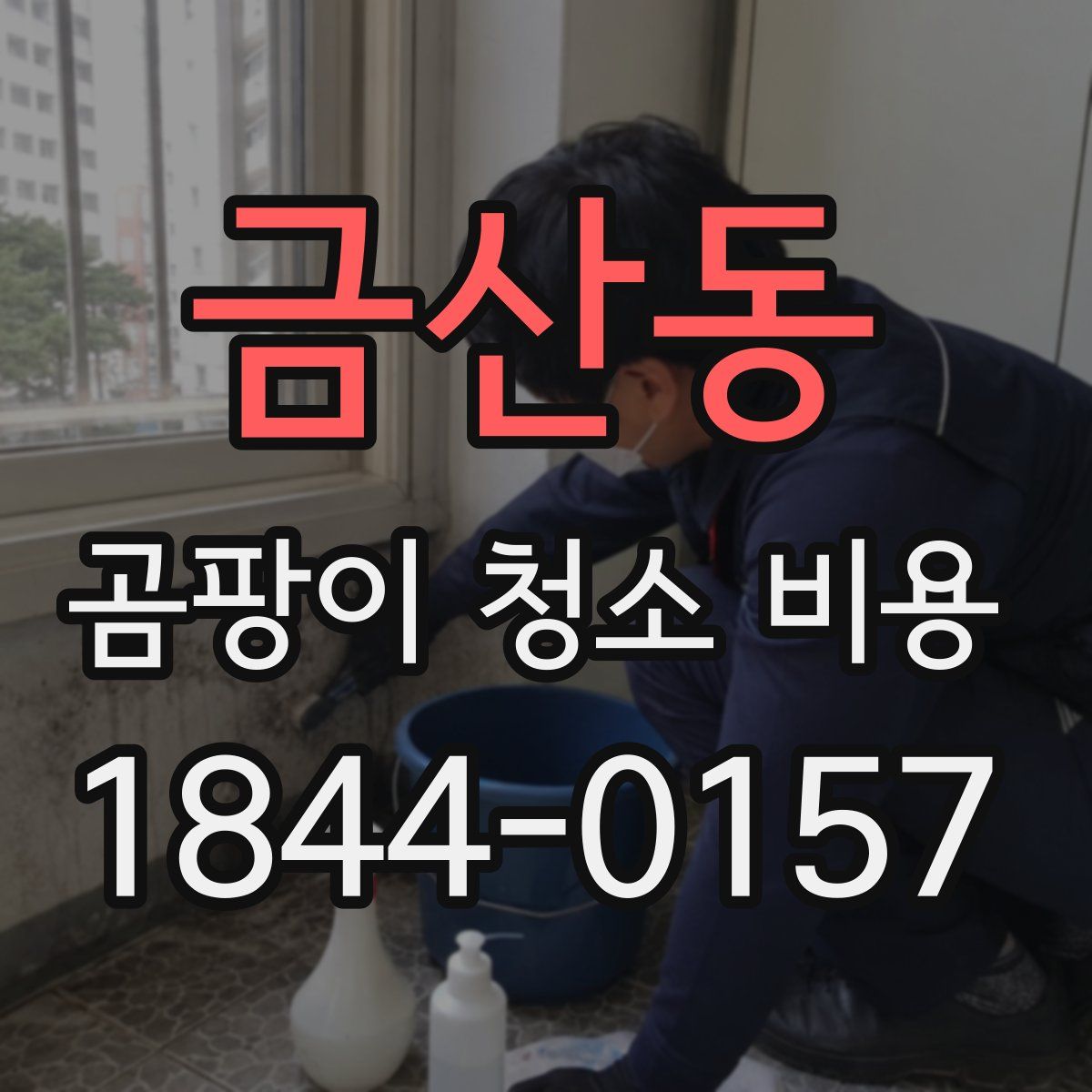 금산동 곰팡이 청소 비용
