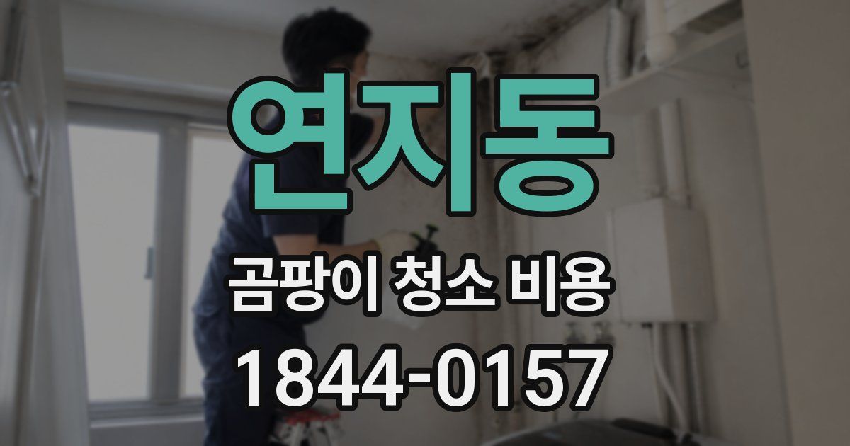 연지동 곰팡이 청소 비용