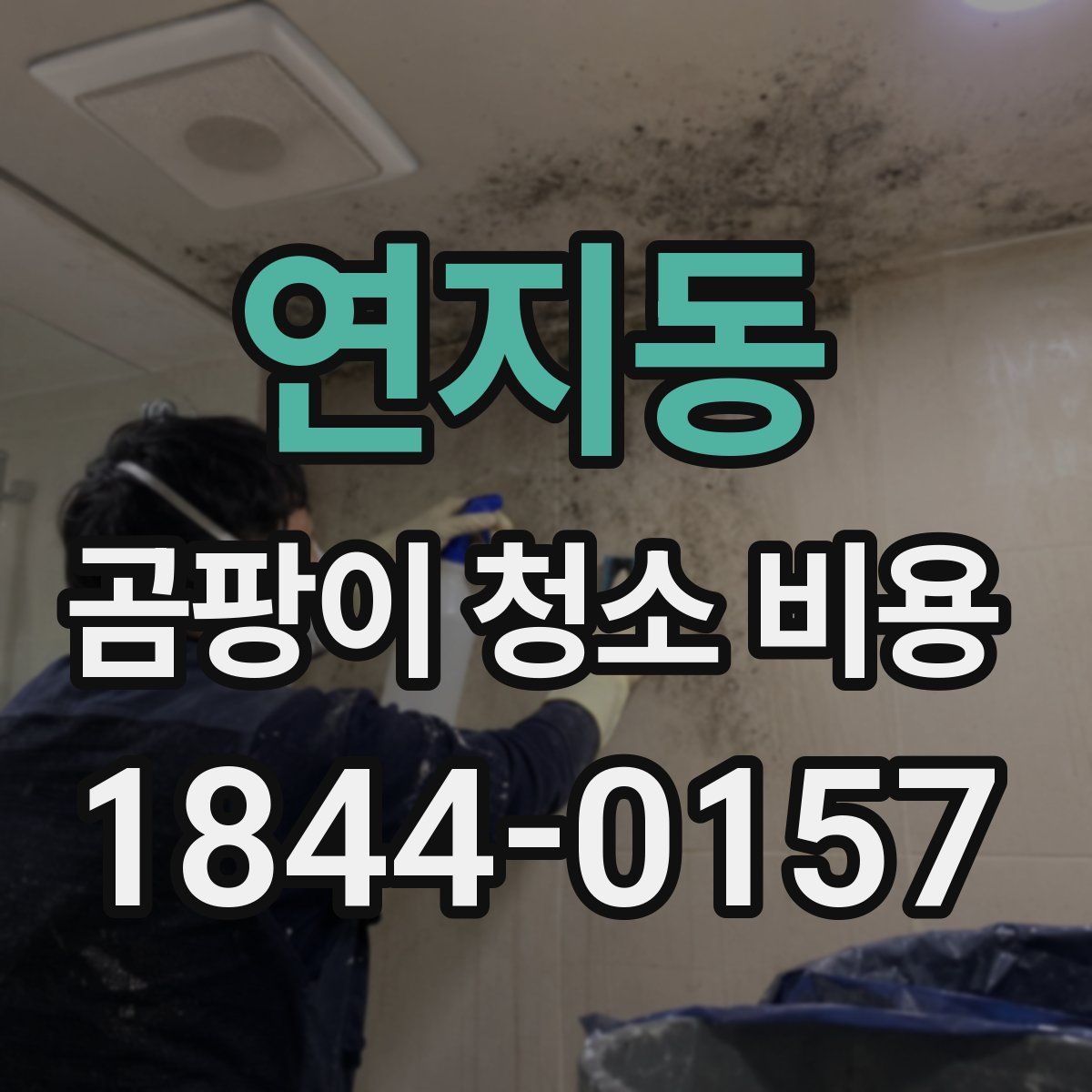 연지동 곰팡이 청소 비용