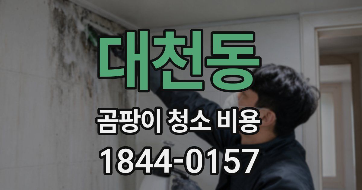 대천동 곰팡이 청소 비용