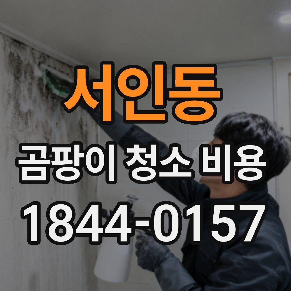 서인동 곰팡이 청소 비용 약품 사용 뒤 냄새와 잔여물 점검법