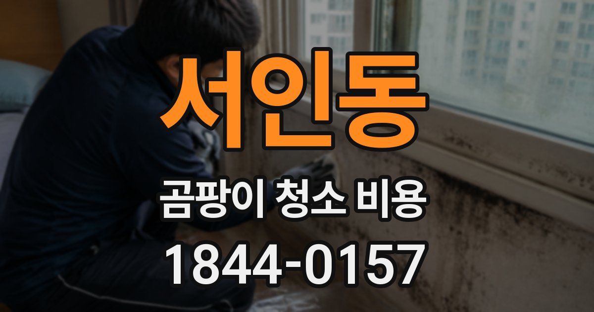 서인동 곰팡이 청소 비용