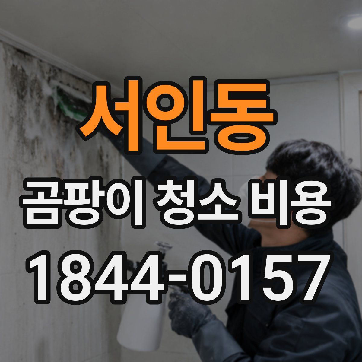 서인동 곰팡이 청소 비용