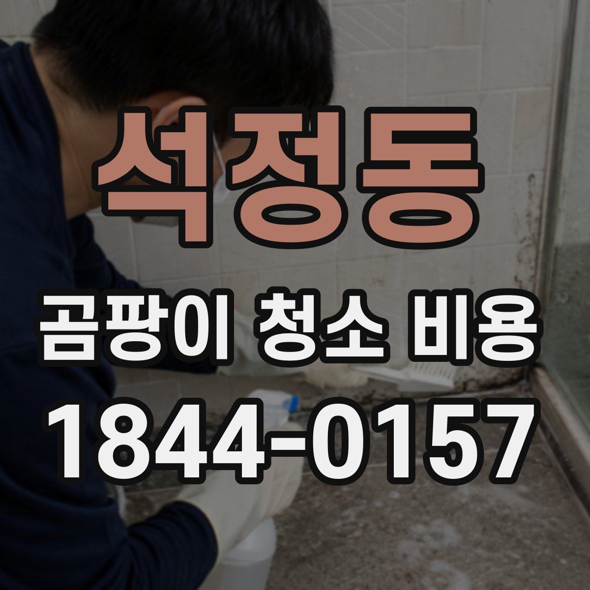 석정동 곰팡이 청소 비용