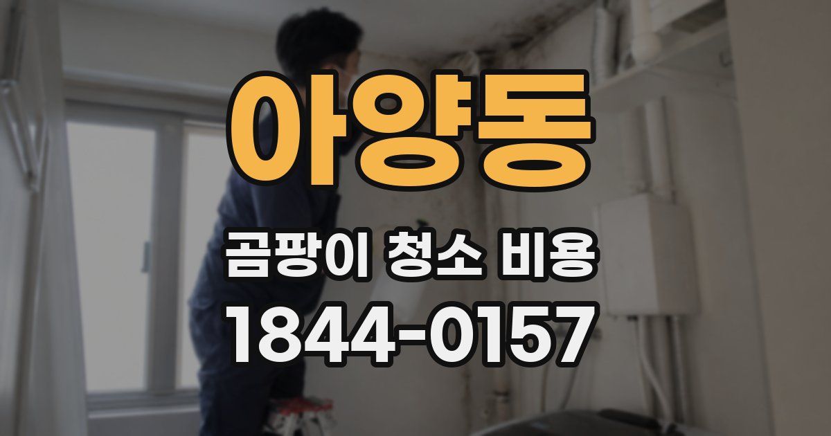 아양동 곰팡이 청소 비용