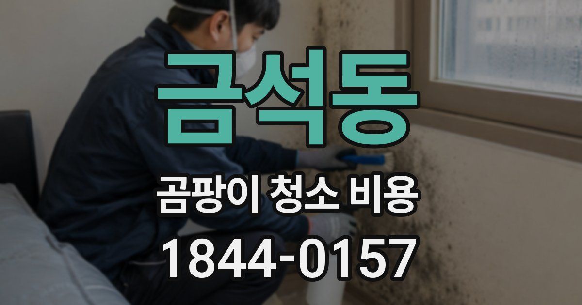 금석동 곰팡이 청소 비용