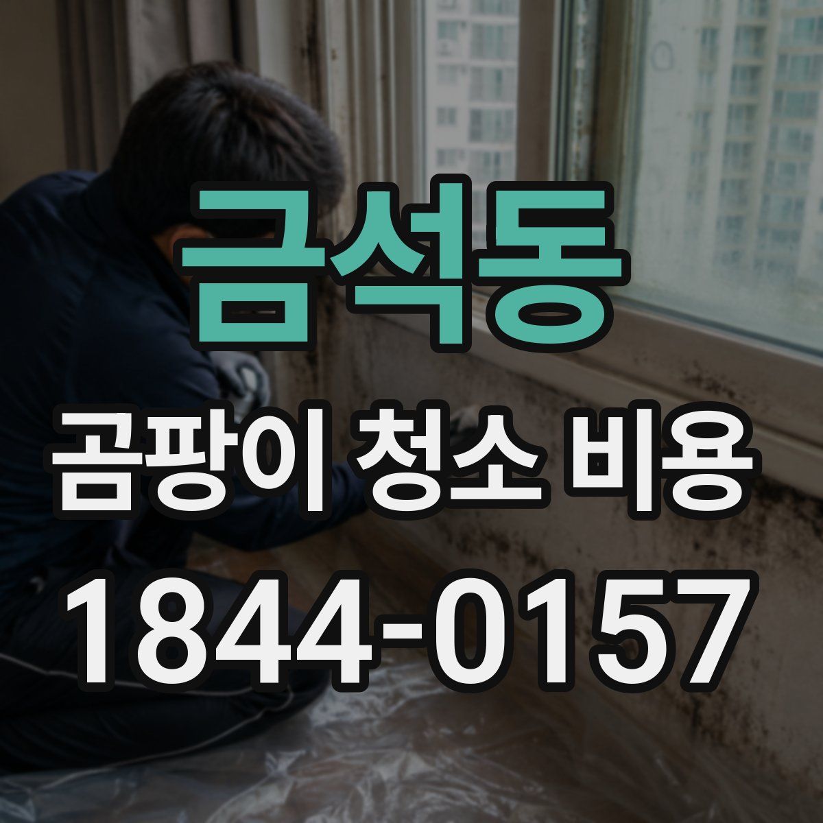 금석동 곰팡이 청소 비용