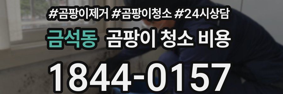 금석동 곰팡이 청소 비용
