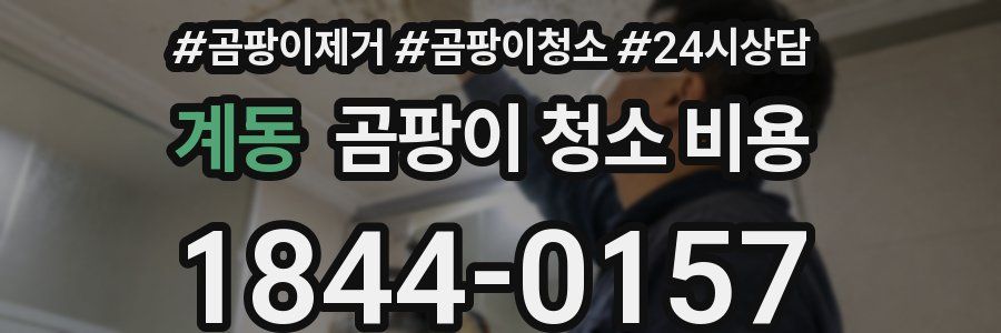 계동 곰팡이 청소 비용