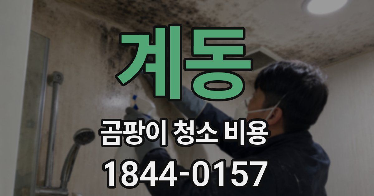 계동 곰팡이 청소 비용