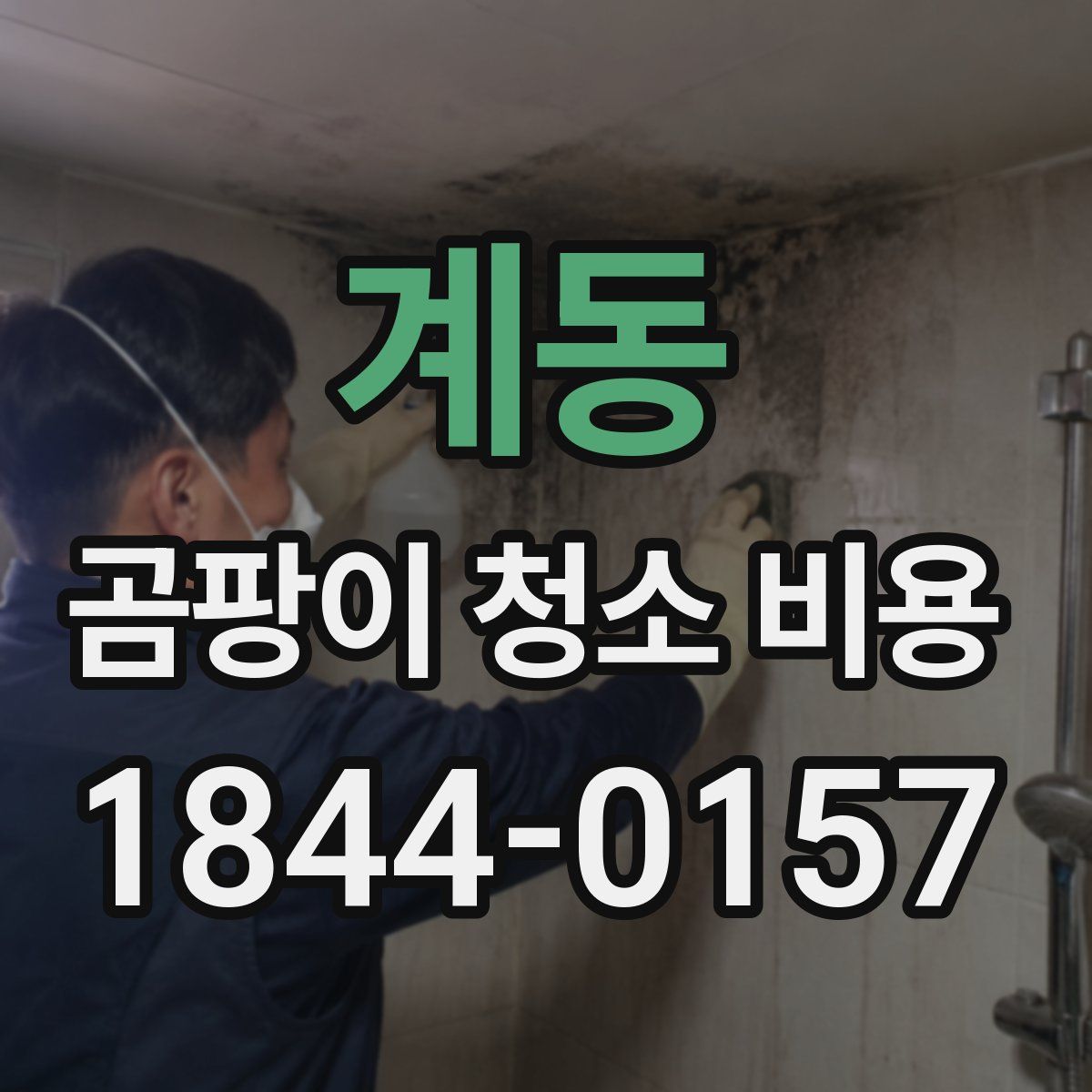 계동 곰팡이 청소 비용