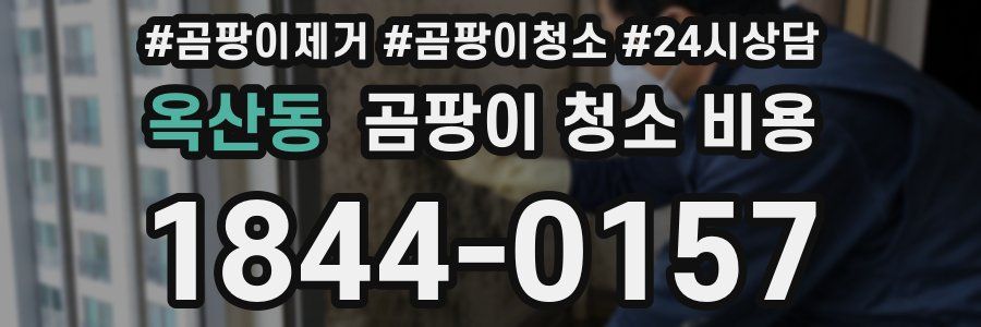 옥산동 곰팡이 청소 비용
