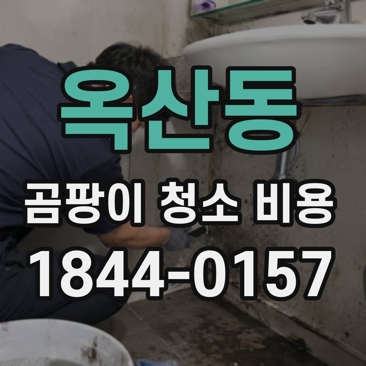 옥산동 곰팡이 청소 비용