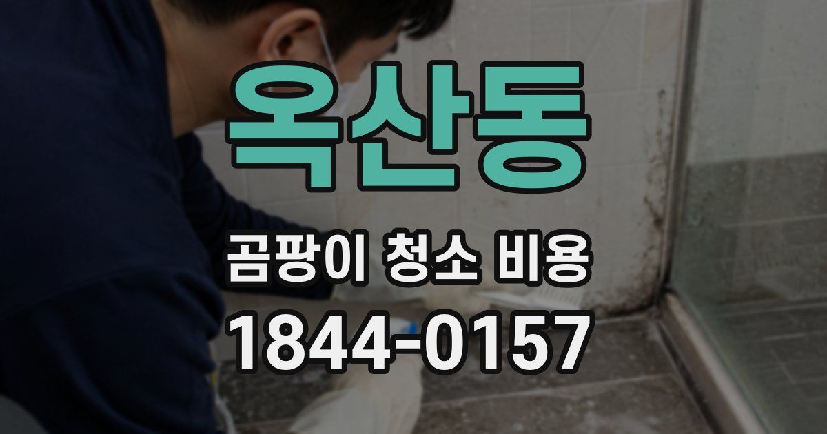 옥산동 곰팡이 청소 비용