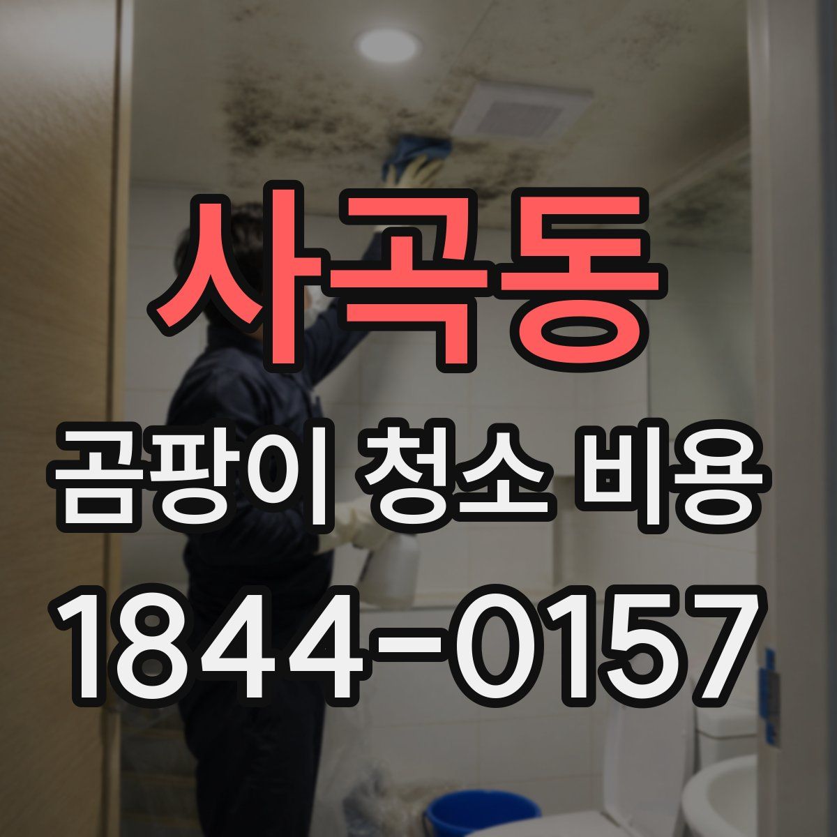 사곡동 곰팡이 청소 비용