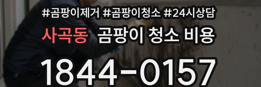 사곡동 곰팡이 청소 비용