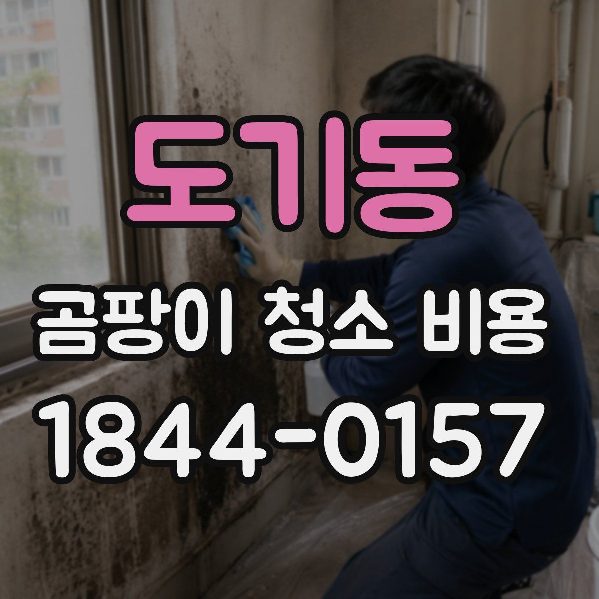 도기동 곰팡이 청소 비용