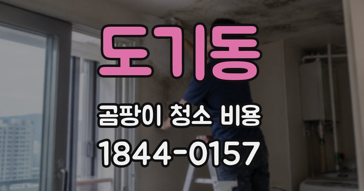 도기동 곰팡이 청소 비용