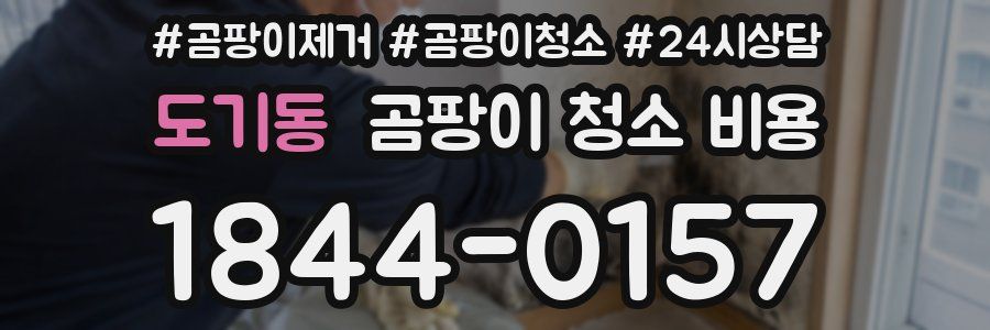 도기동 곰팡이 청소 비용