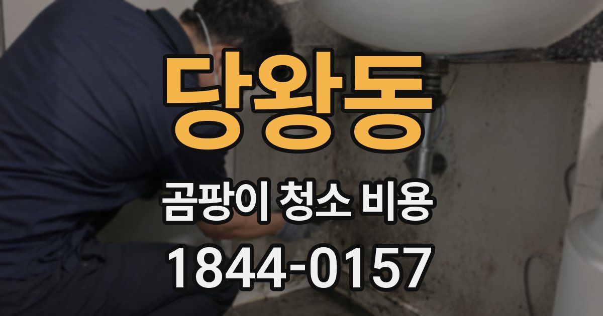당왕동 곰팡이 청소 비용