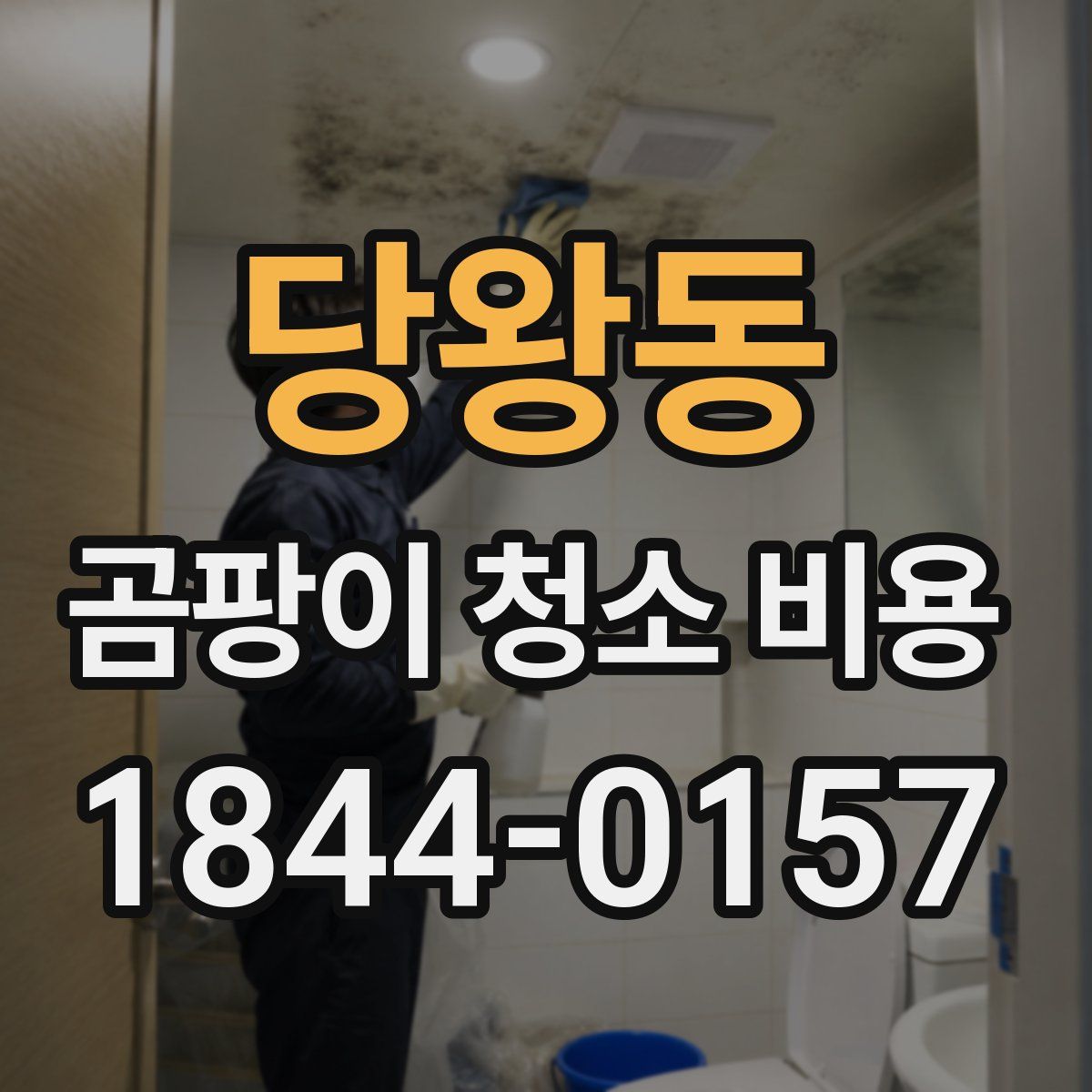 당왕동 곰팡이 청소 비용