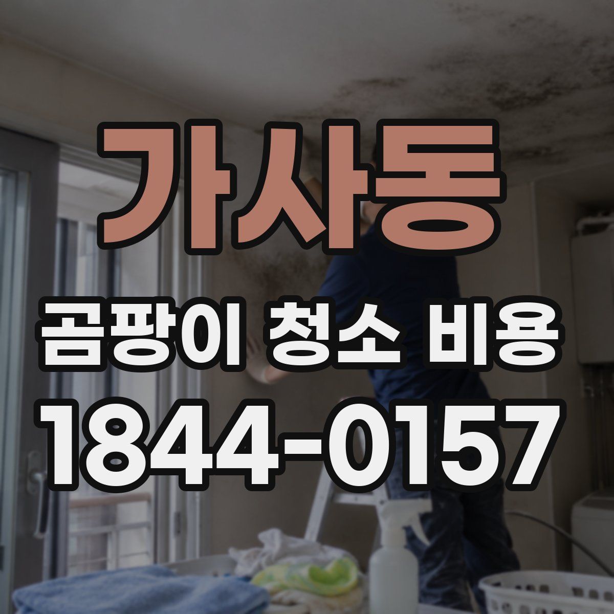 가사동 곰팡이 청소 비용