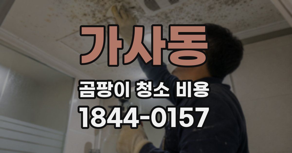 가사동 곰팡이 청소 비용
