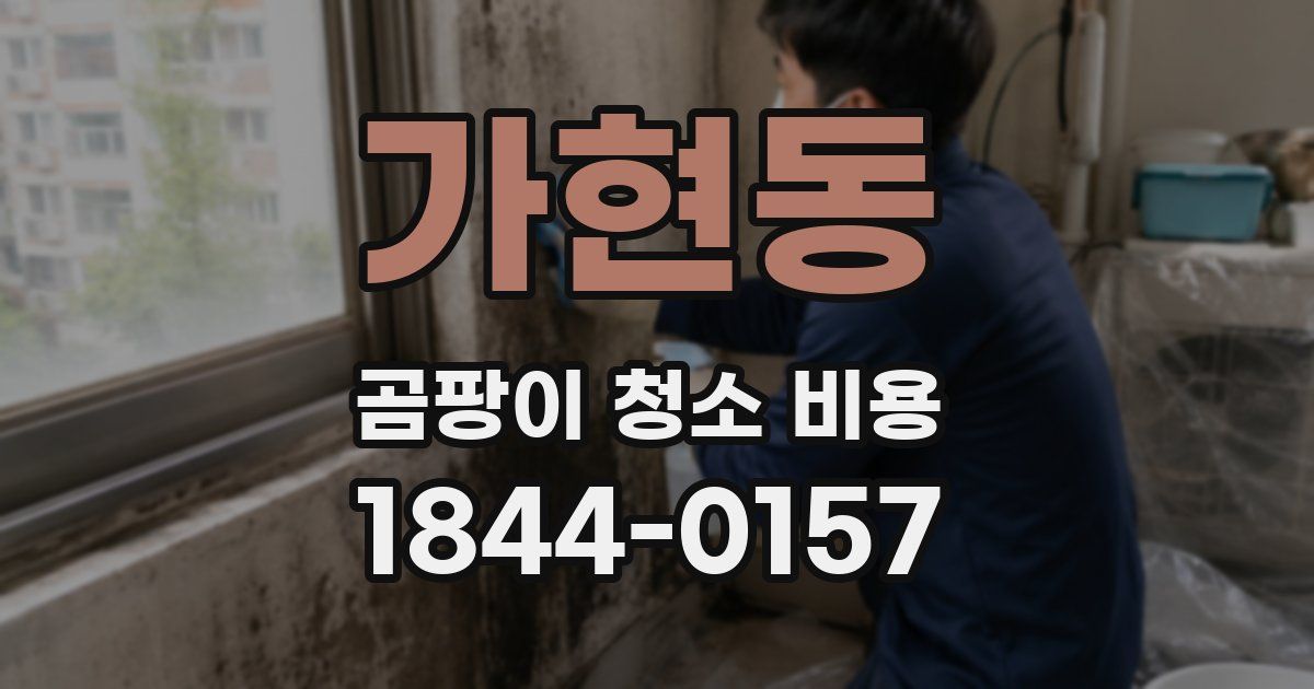 가현동 곰팡이 청소 비용