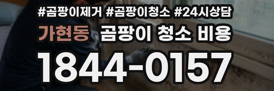 가현동 곰팡이 청소 비용