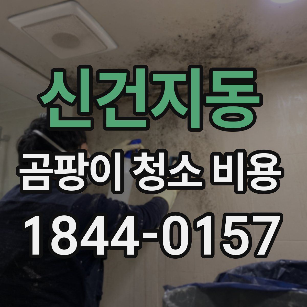 신건지동 곰팡이 청소 비용