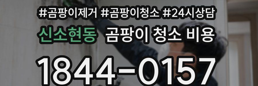 신소현동 곰팡이 청소 비용