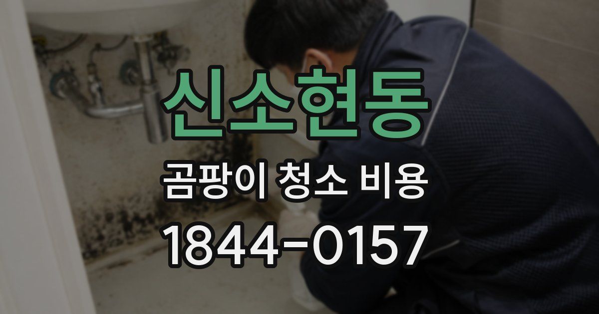 신소현동 곰팡이 청소 비용