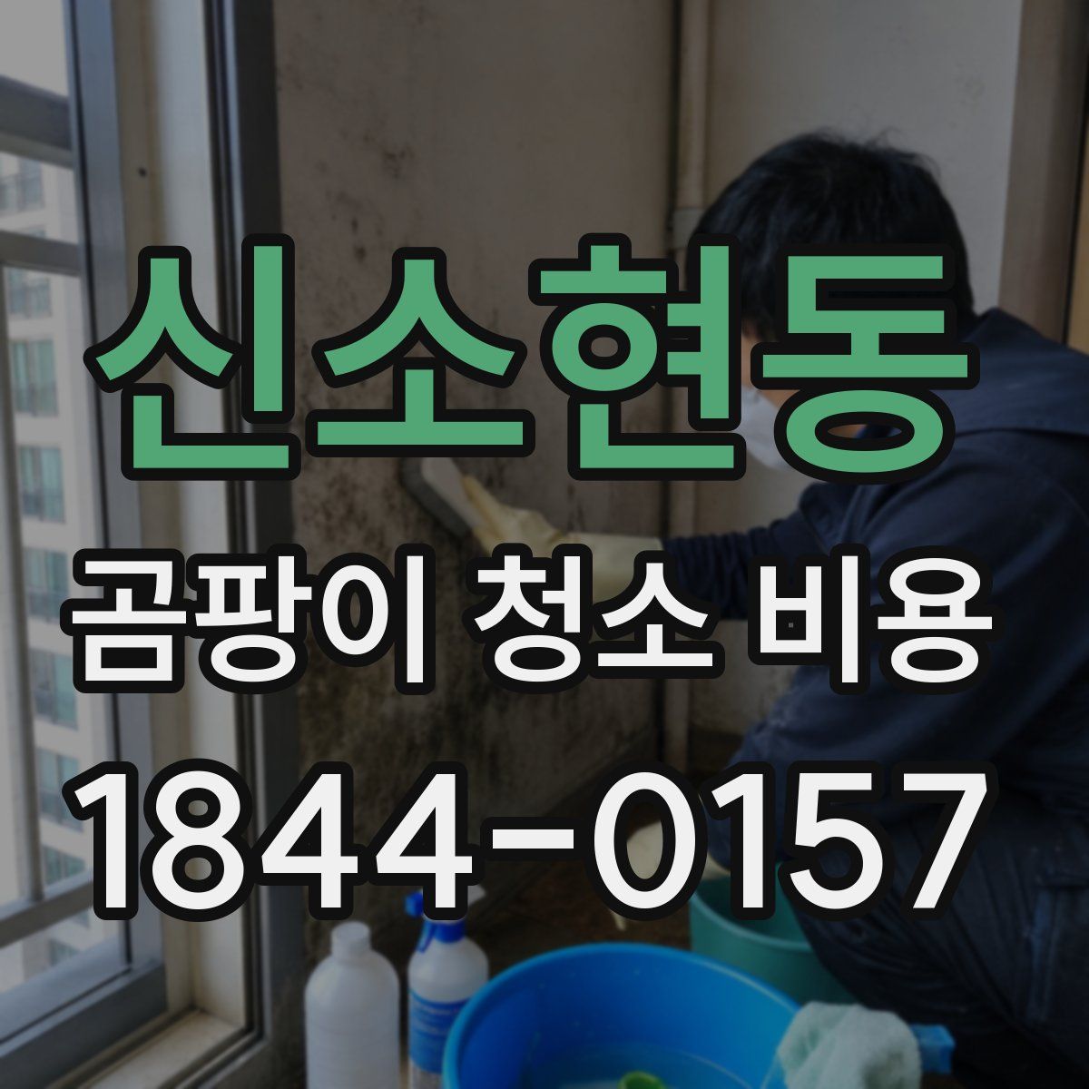 신소현동 곰팡이 청소 비용
