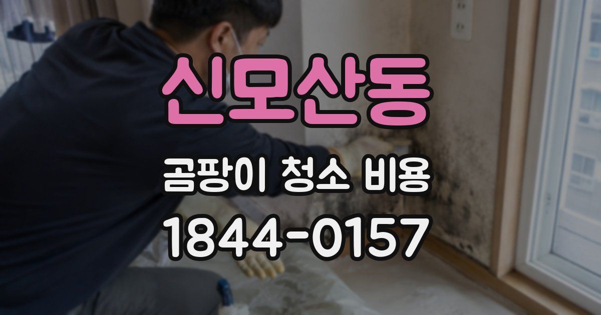 신모산동 곰팡이 청소 비용