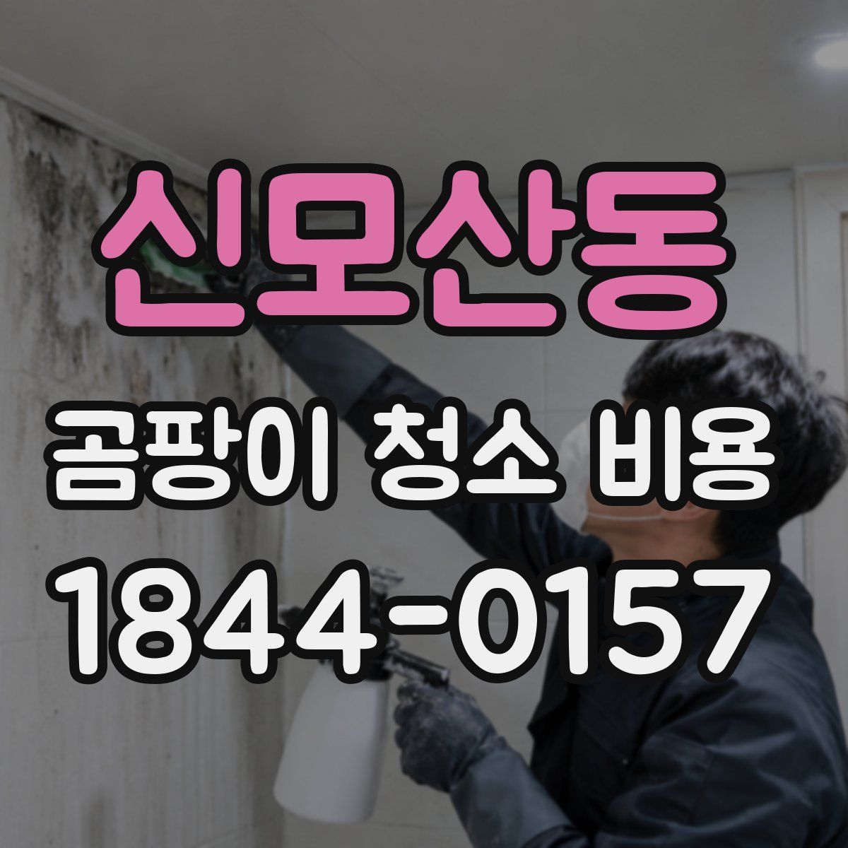 신모산동 곰팡이 청소 비용