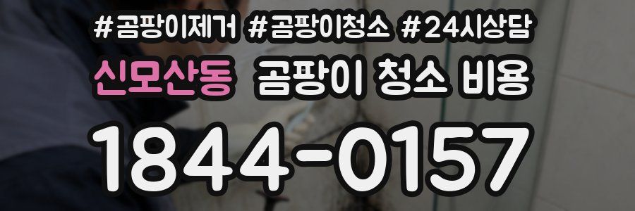 신모산동 곰팡이 청소 비용