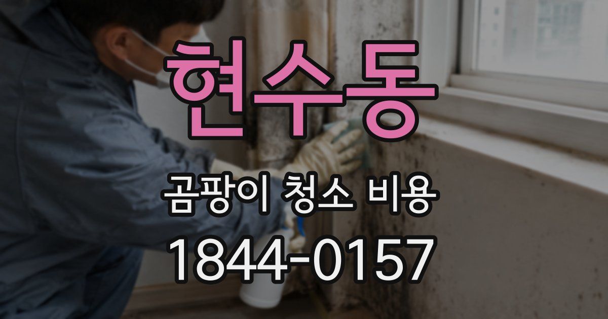 현수동 곰팡이 청소 비용
