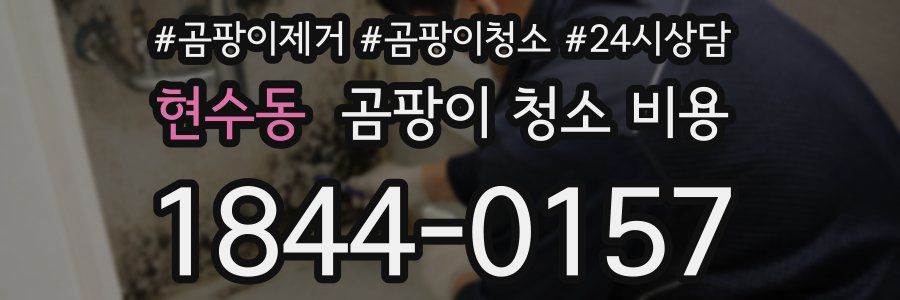 현수동 곰팡이 청소 비용