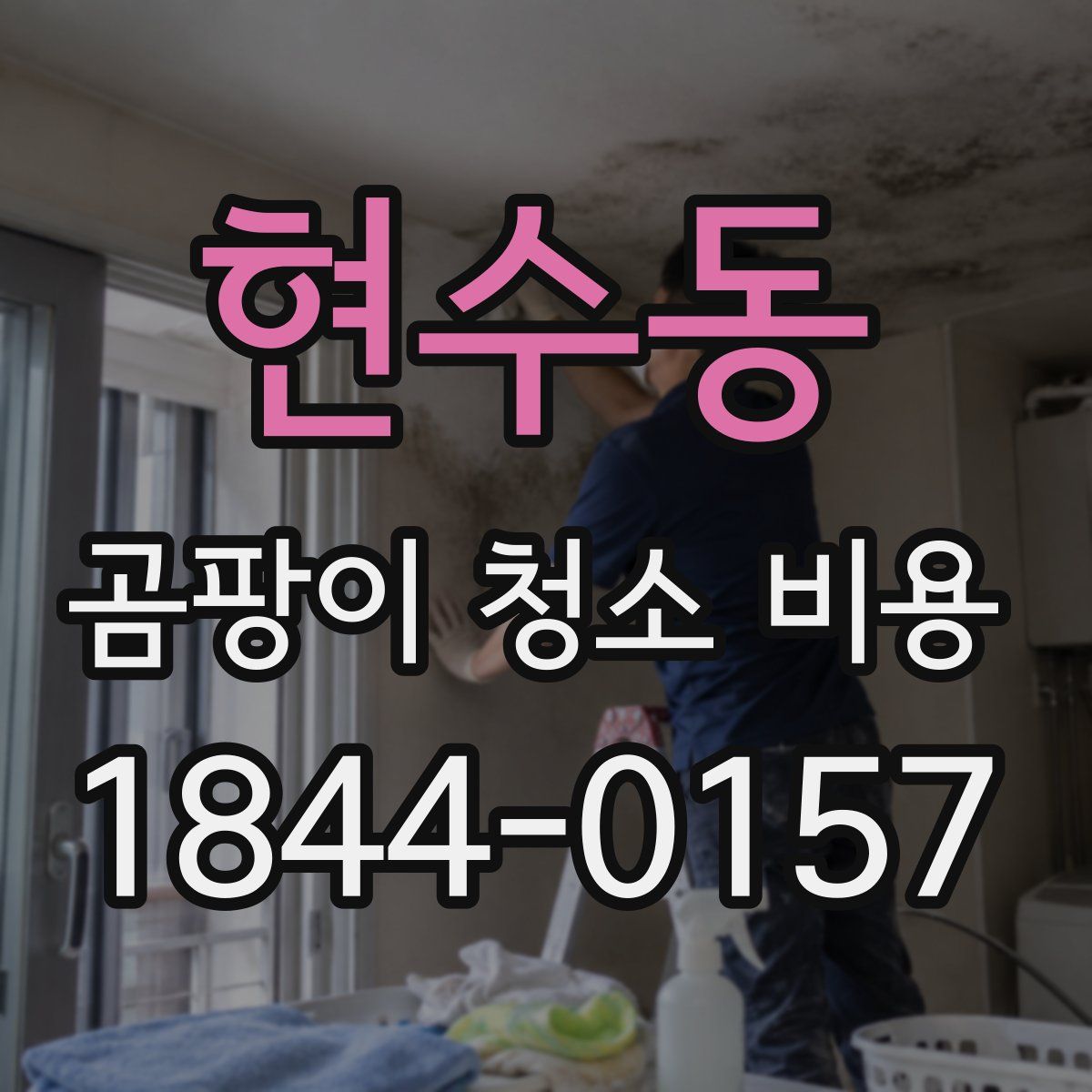현수동 곰팡이 청소 비용