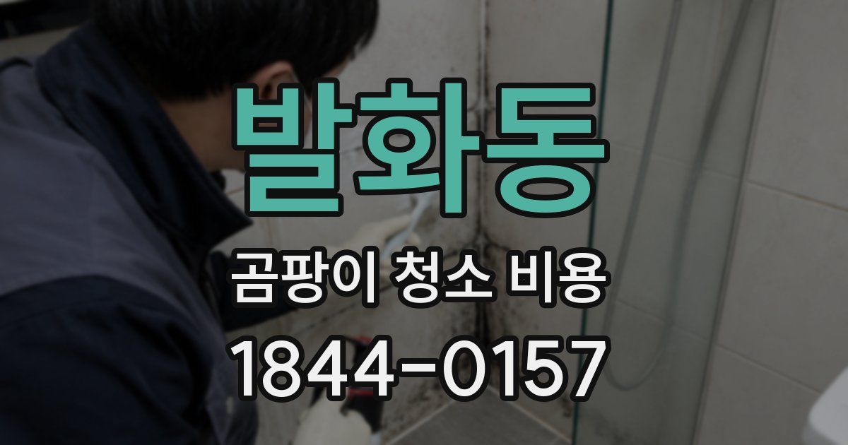 발화동 곰팡이 청소 비용